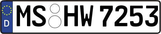 MS-HW7253