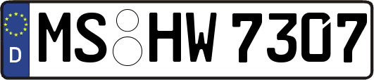 MS-HW7307