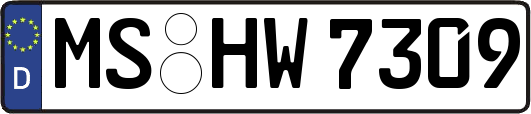 MS-HW7309