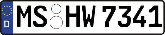 MS-HW7341
