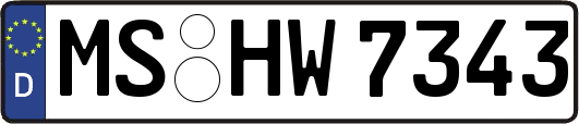 MS-HW7343