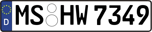 MS-HW7349