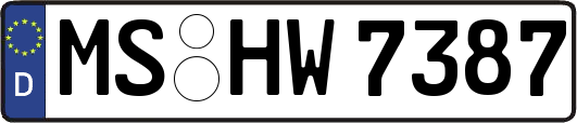 MS-HW7387