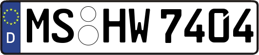 MS-HW7404