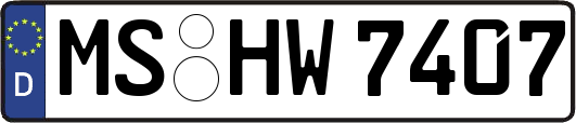 MS-HW7407