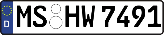 MS-HW7491