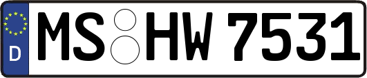 MS-HW7531