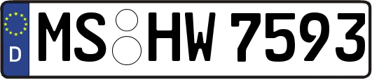MS-HW7593
