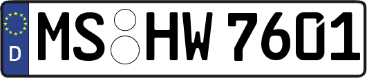 MS-HW7601