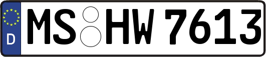 MS-HW7613