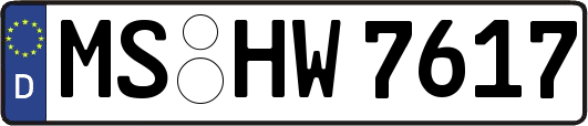 MS-HW7617