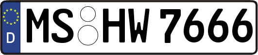MS-HW7666