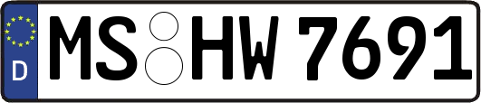 MS-HW7691