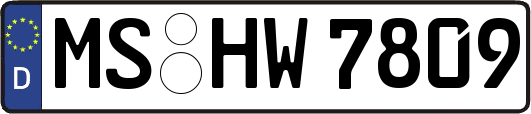 MS-HW7809