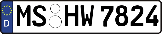 MS-HW7824