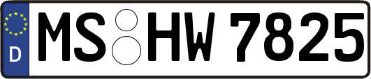 MS-HW7825