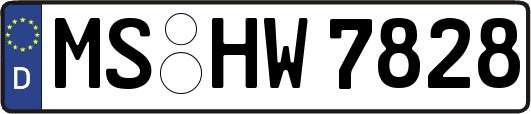 MS-HW7828