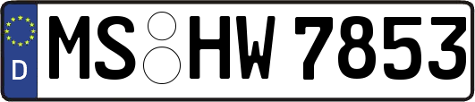 MS-HW7853