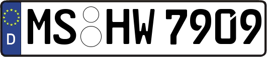 MS-HW7909