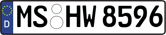 MS-HW8596