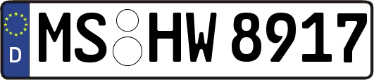 MS-HW8917