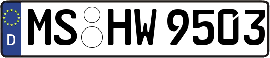 MS-HW9503