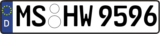 MS-HW9596