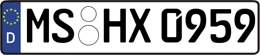 MS-HX0959