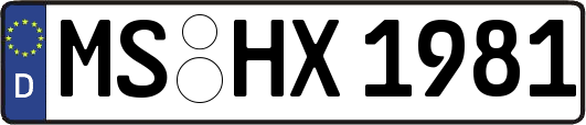 MS-HX1981