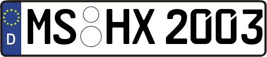 MS-HX2003