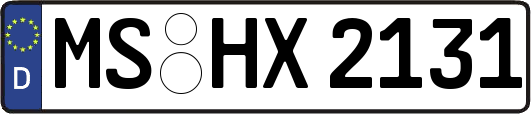 MS-HX2131