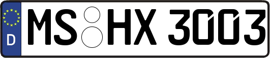 MS-HX3003