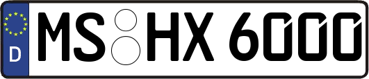 MS-HX6000