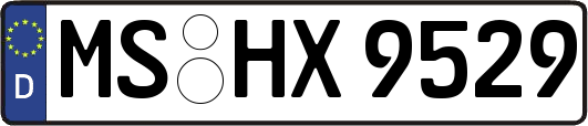 MS-HX9529