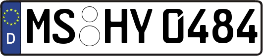 MS-HY0484