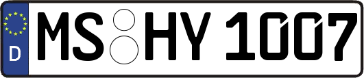 MS-HY1007