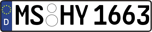 MS-HY1663