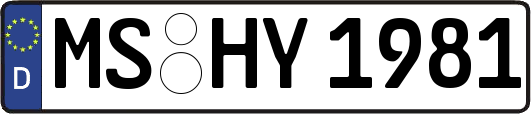 MS-HY1981