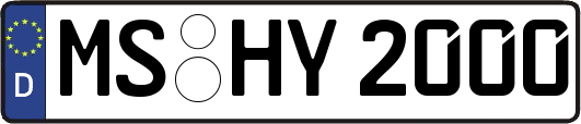 MS-HY2000
