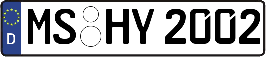 MS-HY2002