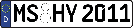 MS-HY2011