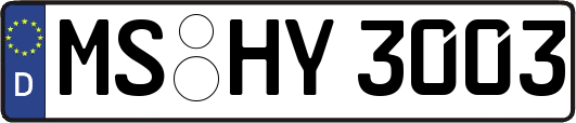 MS-HY3003