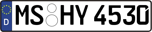 MS-HY4530