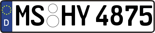 MS-HY4875