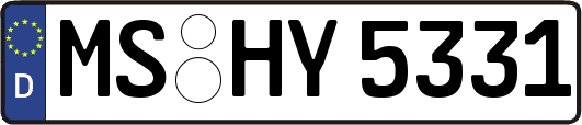 MS-HY5331
