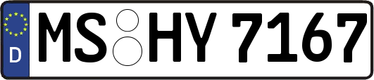 MS-HY7167