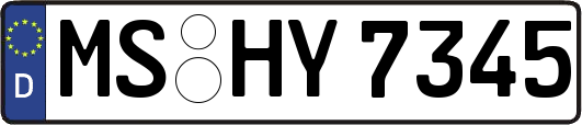 MS-HY7345