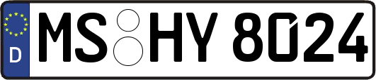 MS-HY8024