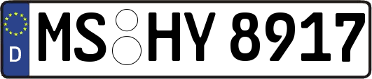 MS-HY8917