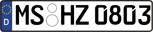 MS-HZ0803